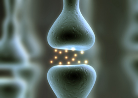 Photo of a synapse