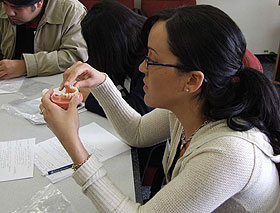 Tiffany Brady, a UConn senior, examines a tooth model, during a recent Passport to Dentistry workshop.