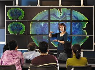 Photo of Elena Edelstein explaining the functions of the display wall