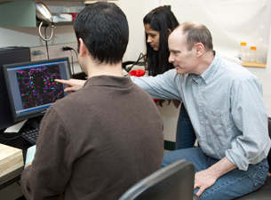 Photo Michael Wosczyna, Arpita Biswas, and David Goldhamer