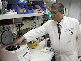 Immunology professor Pramod Srivastava has been testing individualized cancer vaccines.