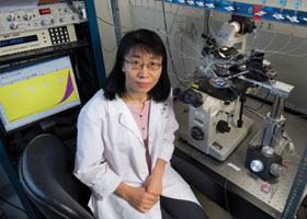 Lixia Yue, assistant professor of cell biology, in her lab at the Health Center.